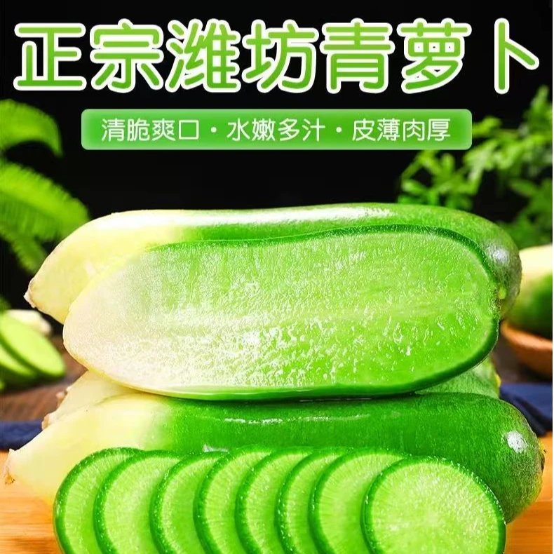 正宗潍坊水果萝卜产地直发现挖现发脆甜多汁4.5斤净重