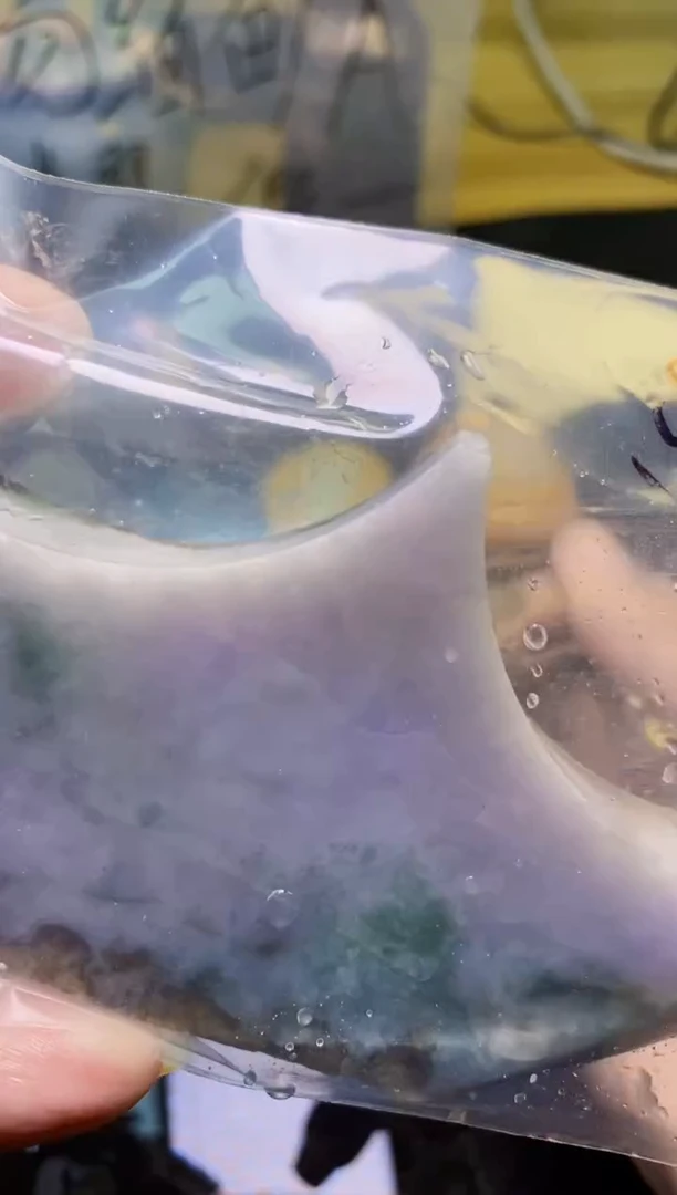 翡翠未镶嵌颈饰天然翡翠053