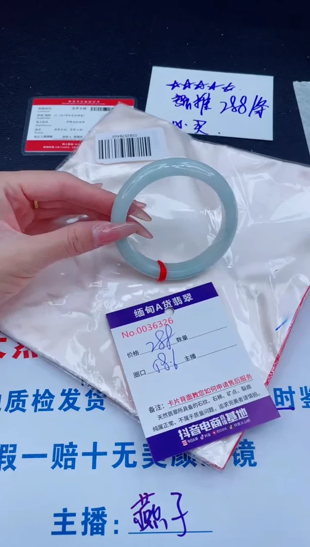 未镶嵌手镯翡翠1