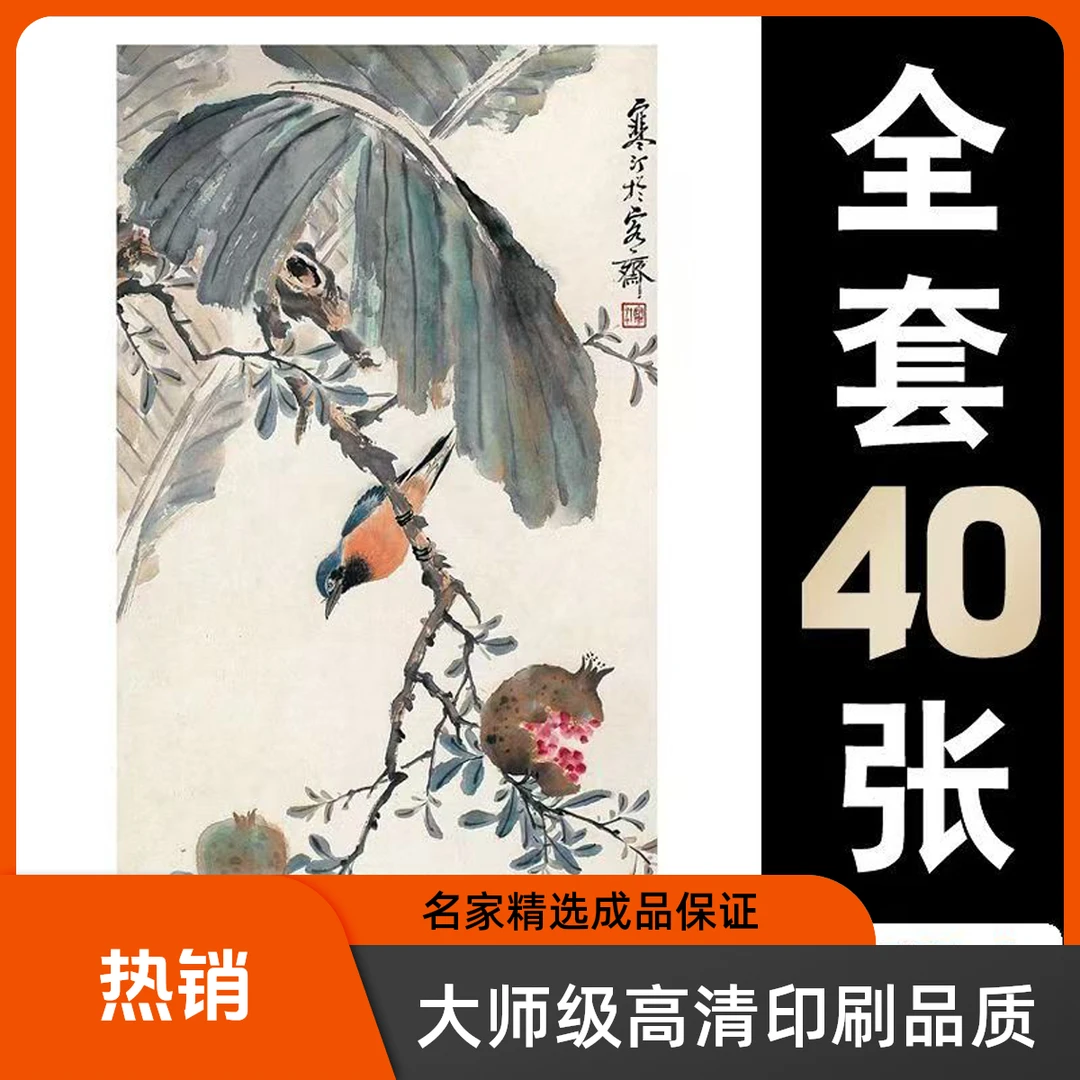 国画临摹卡江寒汀花鸟篇单片大师级高清印刷临摹画册成品茶室40张