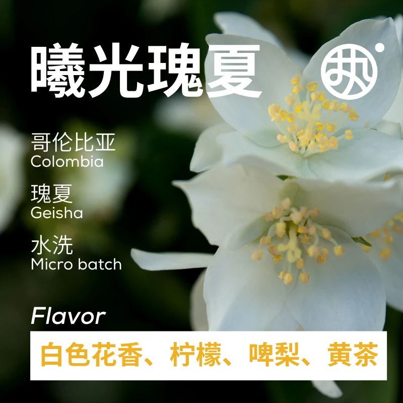 红标【曦光瑰夏】哥伦比亚慧兰产区松木庄园中浅手冲咖啡豆一包7杯