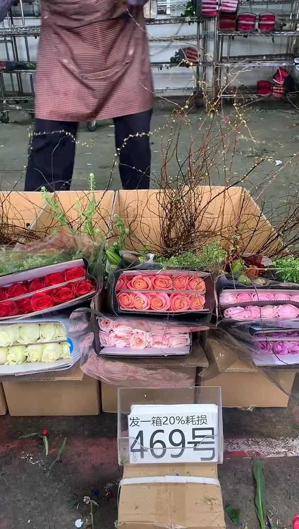 469号♥中通不指定随机颜色含20%耗损发一箱鲜花