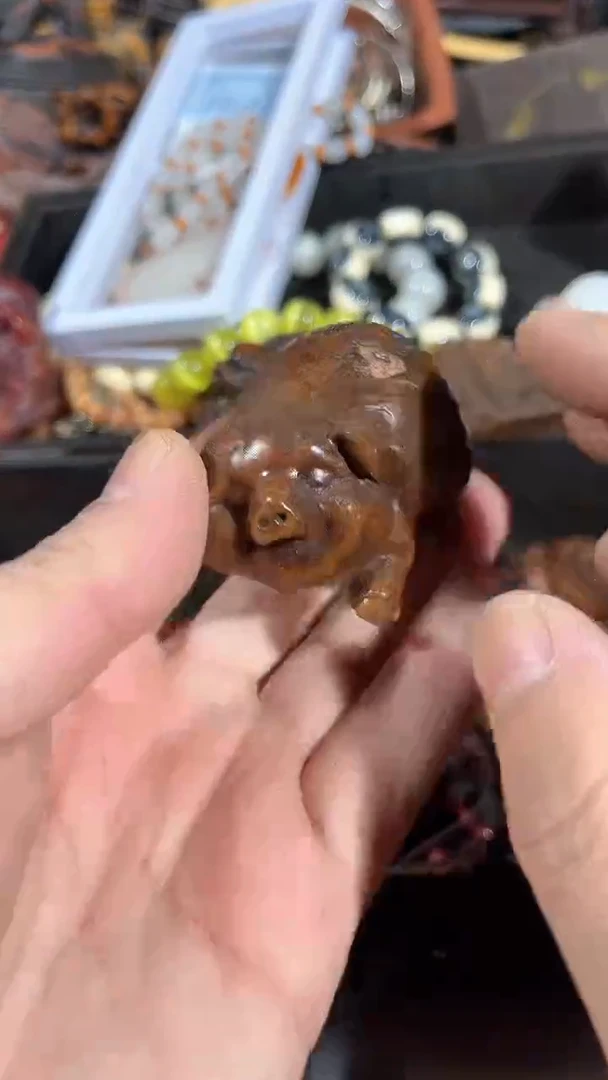 【闪购商品】黄杨木11111111111111111111