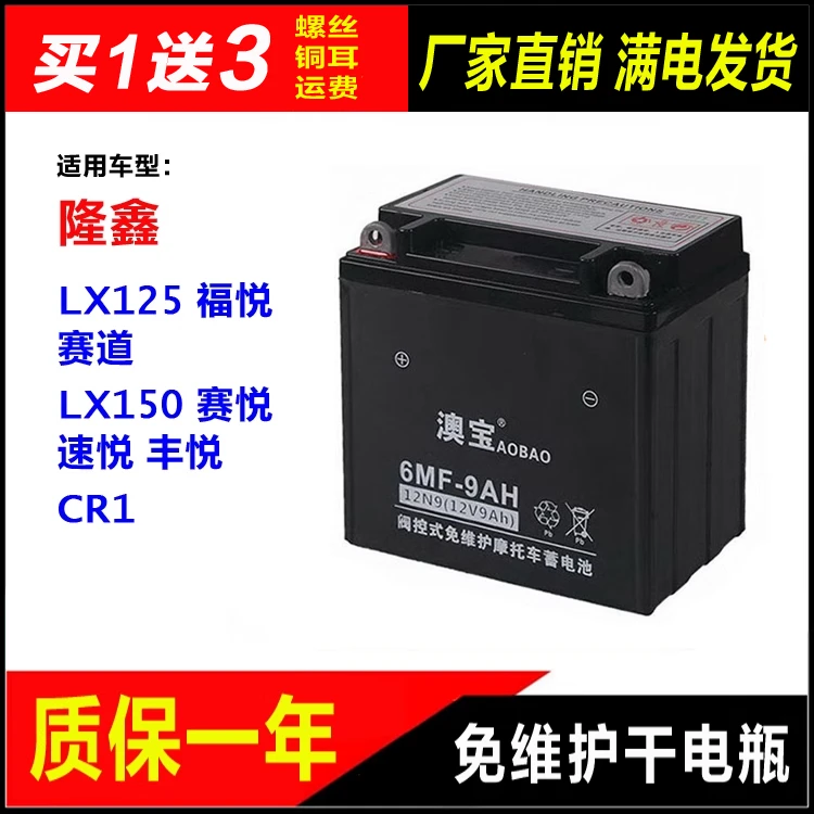 摩托车干电瓶隆鑫LX125福悦 赛道 LX150赛悦 速悦 丰悦 CR1蓄电池