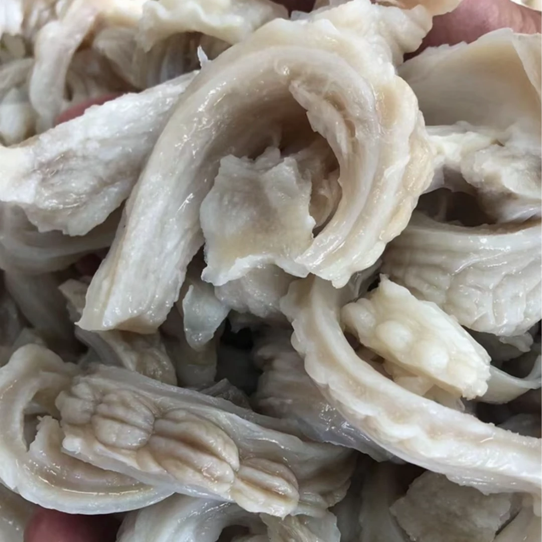 新鲜爽口嫩脆肚鱼肚 3/5斤爆炒 红烧 煲汤 新鲜冷链发货 M