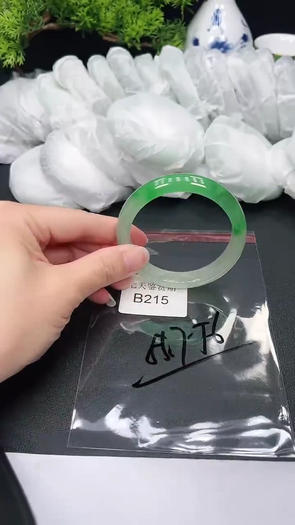 未镶嵌手镯翡翠215