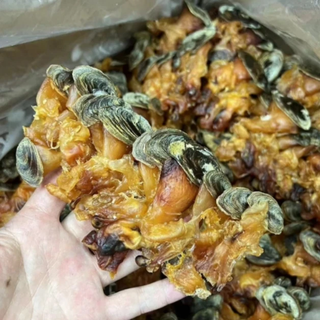 伊桦食养精选红螺头