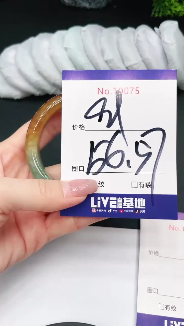 未镶嵌手镯翡翠10075