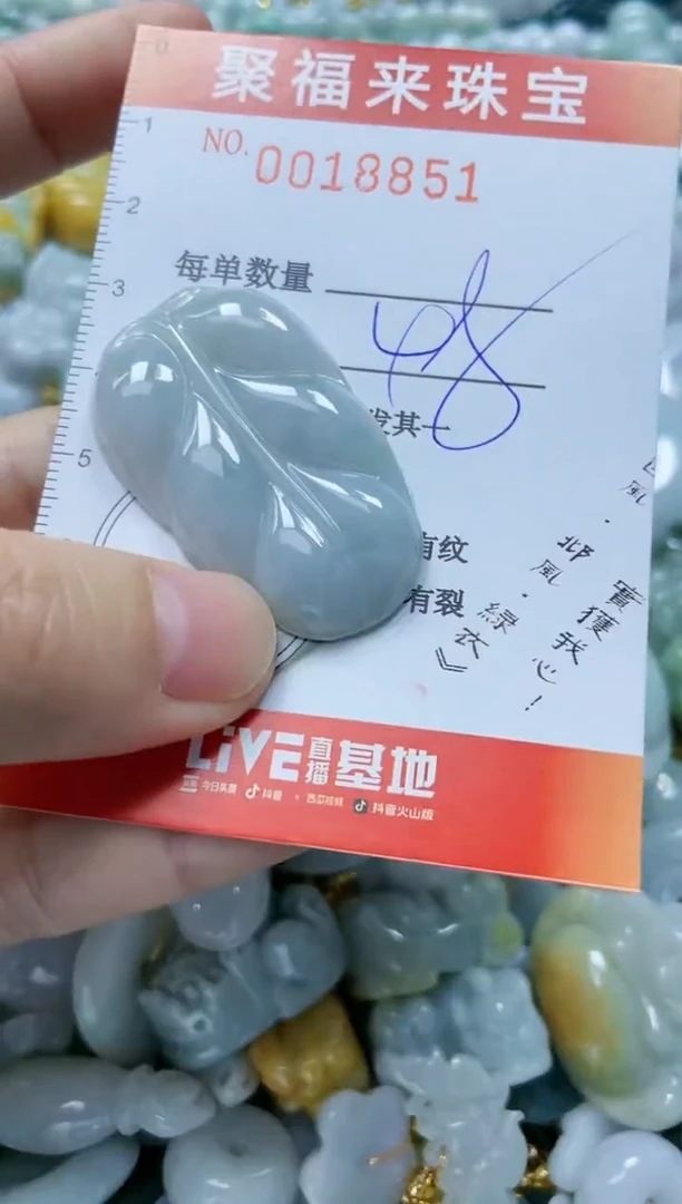 【闪购商品】翡翠颈饰未镶嵌闪购0018851