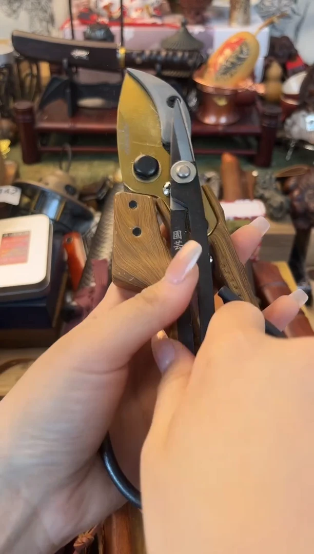 瓷片2jain晓魏甄宝阁品质保证