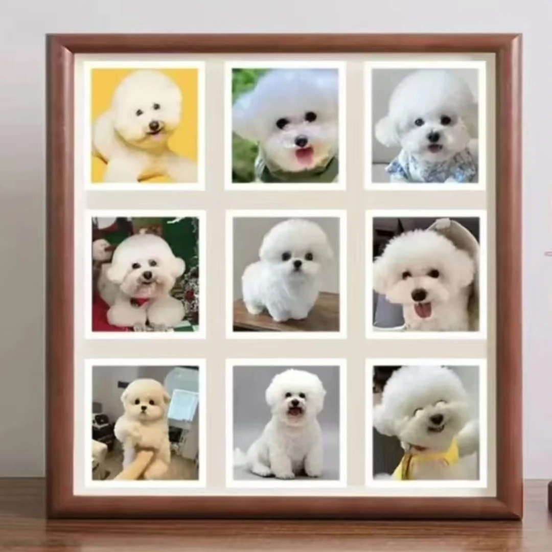 宠物相册记录美好生活