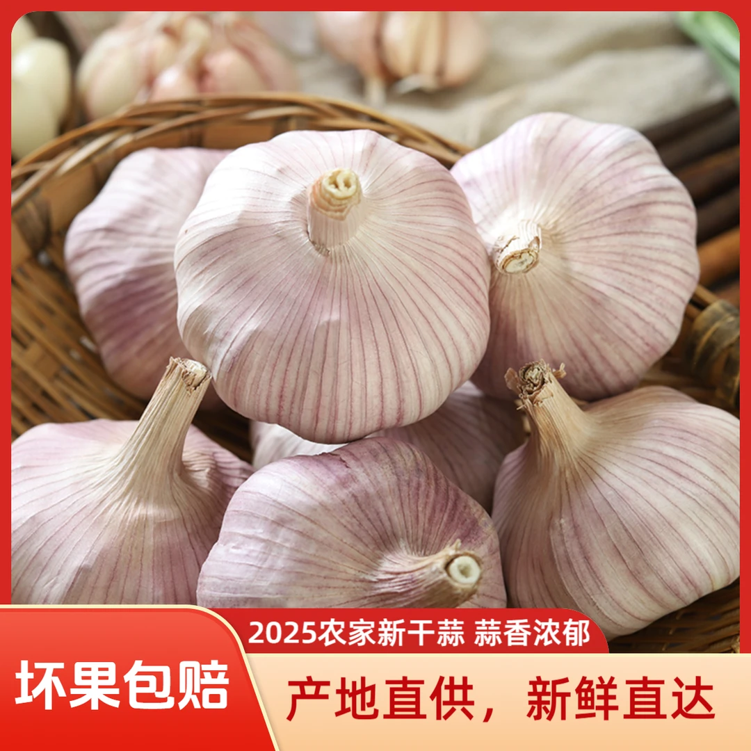 【新干蒜特惠】干蒜2025农家自种自晒紫白皮多瓣新干蒜辛辣头大蒜