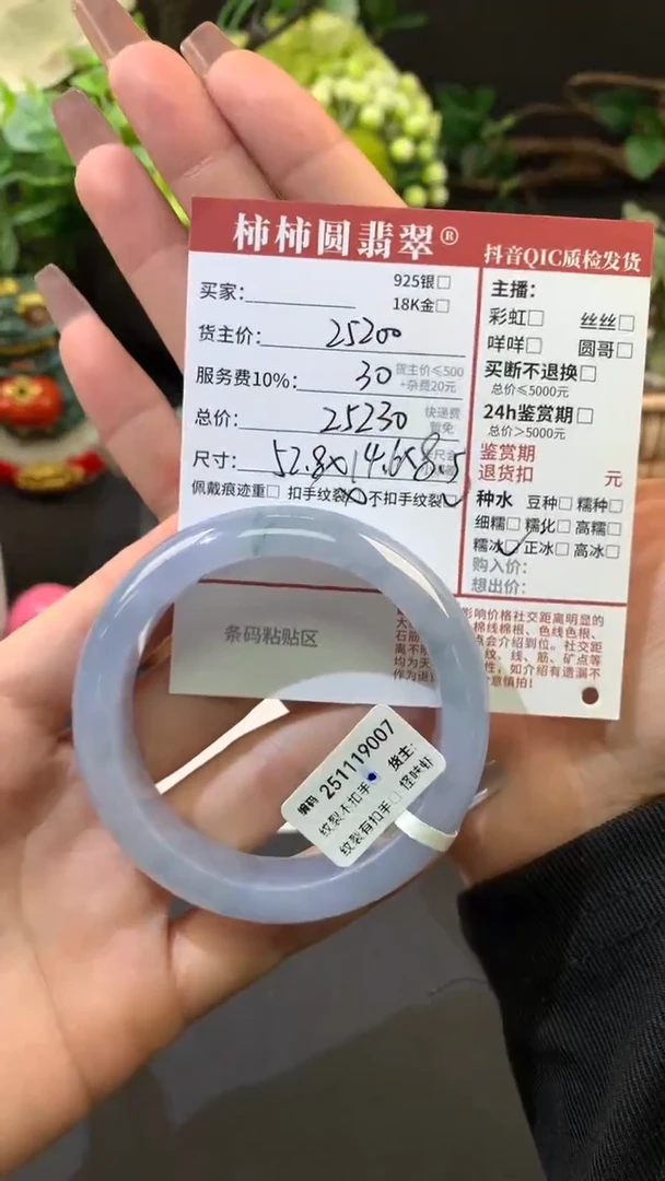 未镶嵌手镯翡翠黑*姐姐251119007