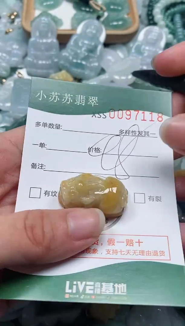 【闪购商品】翡翠颈饰未镶嵌闪购商品0097118