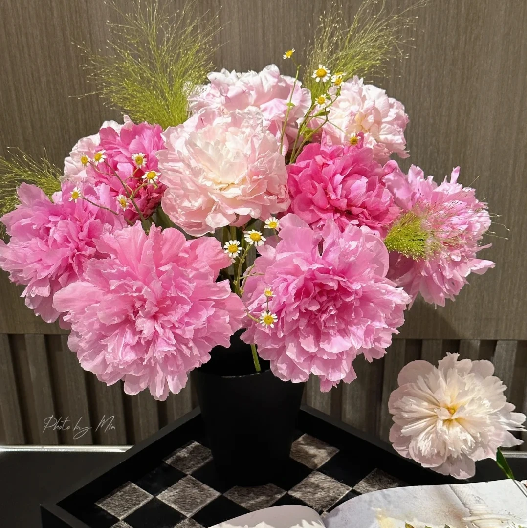 【精品芍药】芍药鲜切花重瓣家庭瓶插水养荷兰进口芍药鲜花顺丰发货