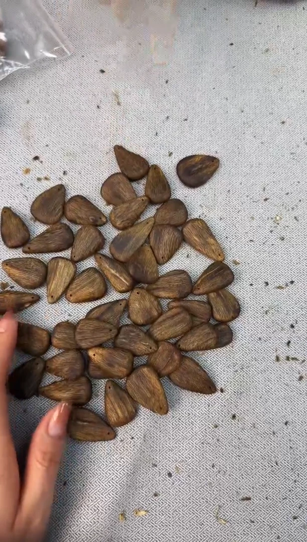 沉香碎屑沉香白奇牌静静沉香甄选多样性发一