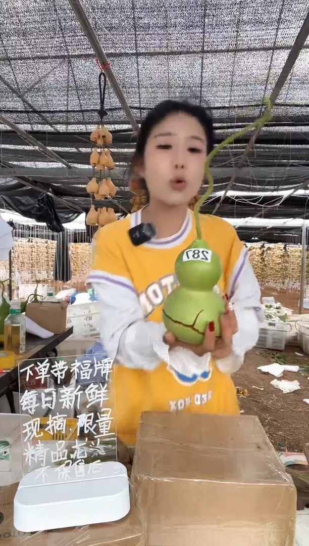 287天然葫芦摆件 一物一拍龙头不保售后