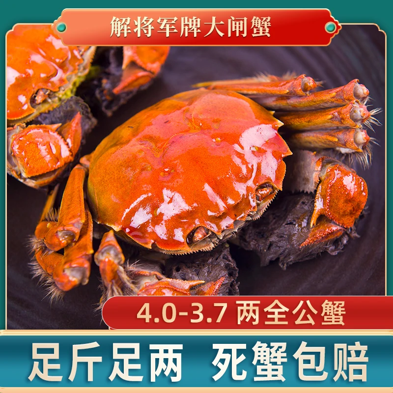 【活蟹】【解将军牌】全公蟹4.0-3.7两 （8/10）只