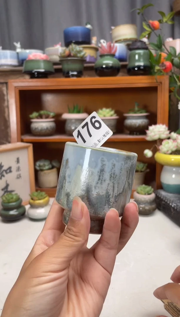 瓷片176知木小芳花盆