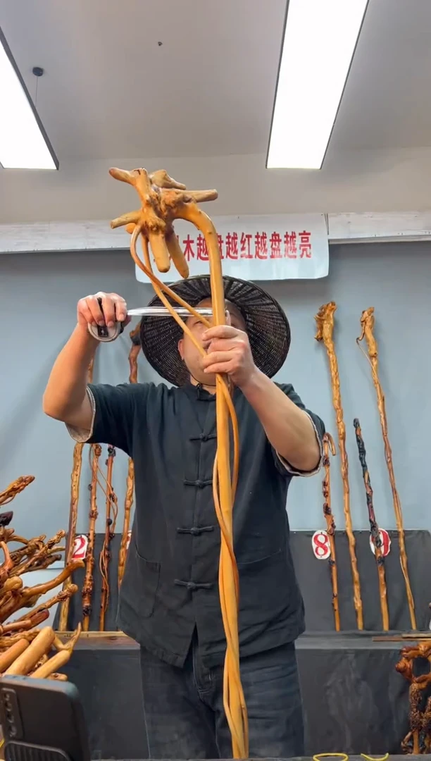 【闪购商品】黑果木其他黑果木134