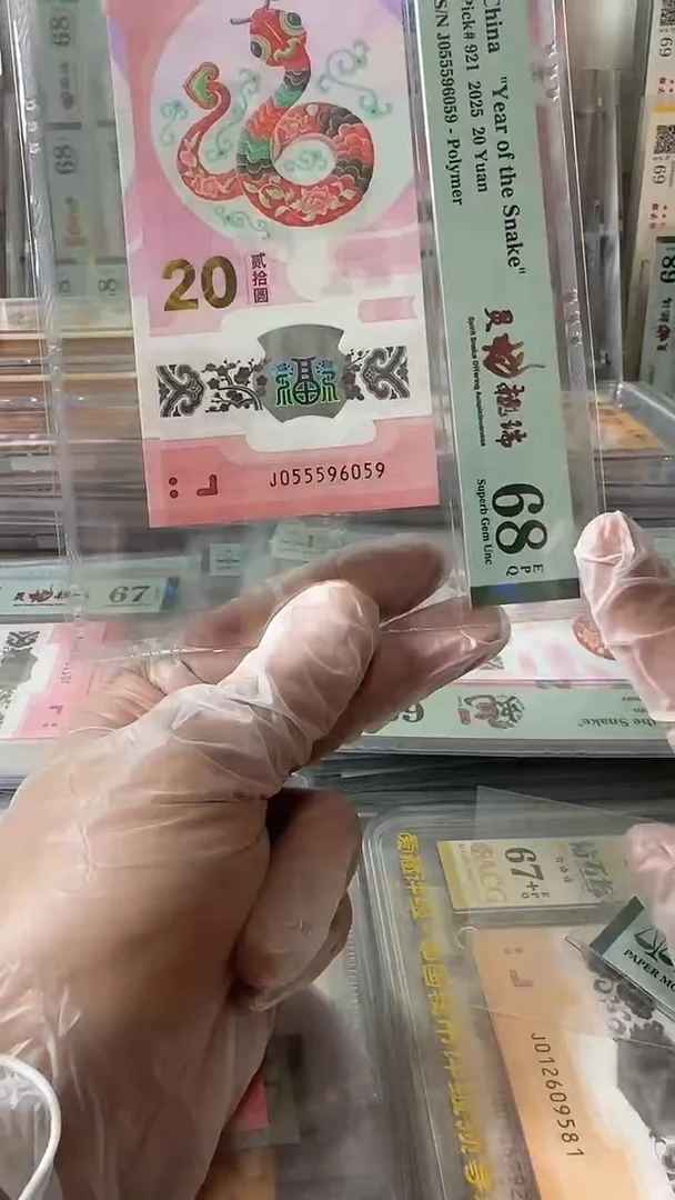 塑料055596059蛇钞单张
