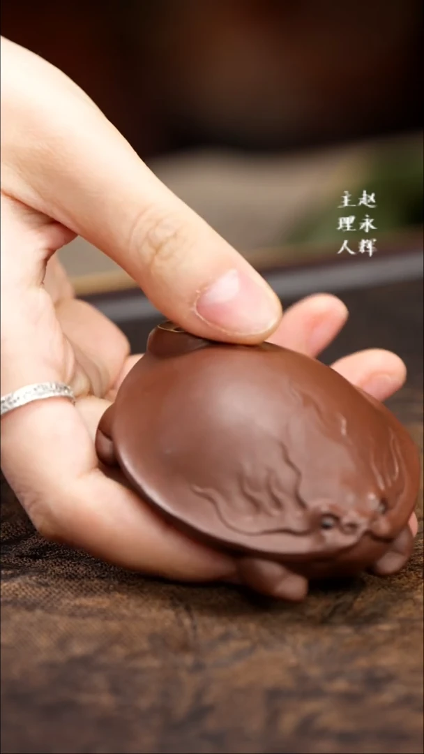 紫砂茶宠扁龙龟。，