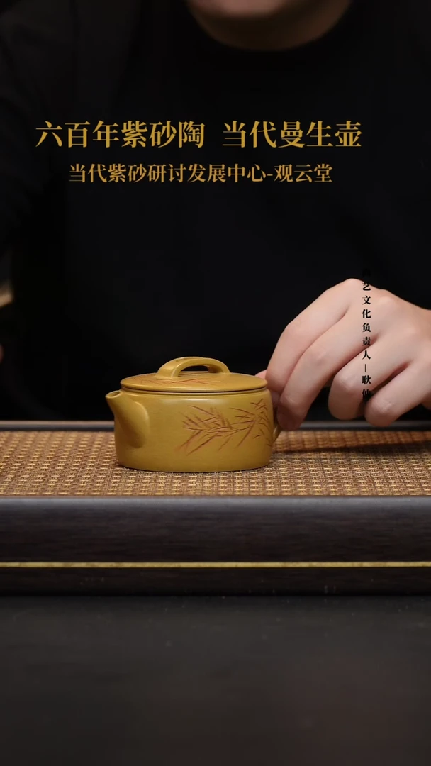 茶壶紫砂宜兴紫砂壶汉瓦