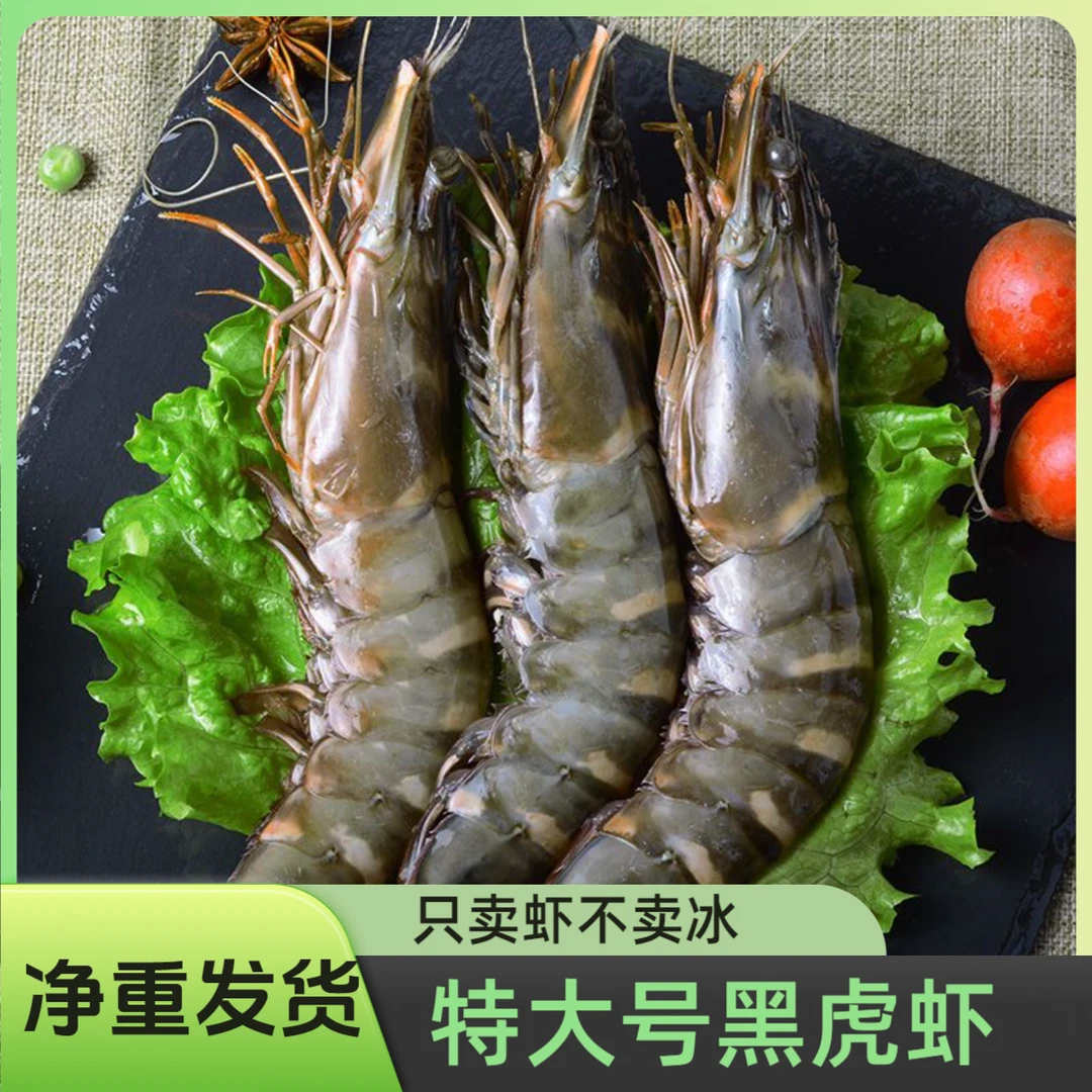 14-16公分海水黑虎虾 金刚虾肉质鲜美 活虾速冻老虎大虾3+1共4斤C