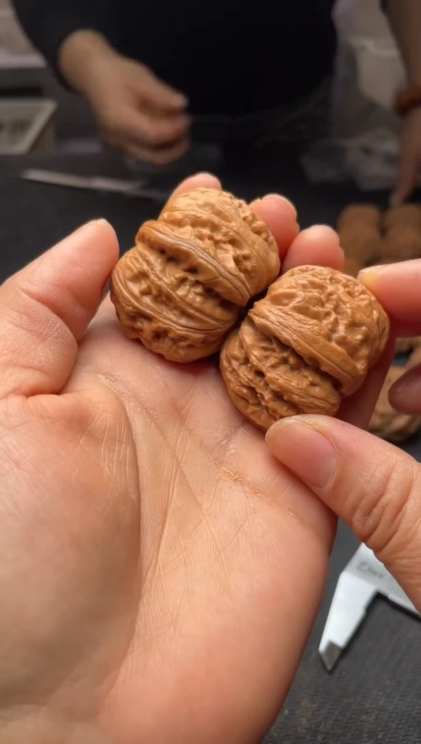 核桃w210  元宝 42尺