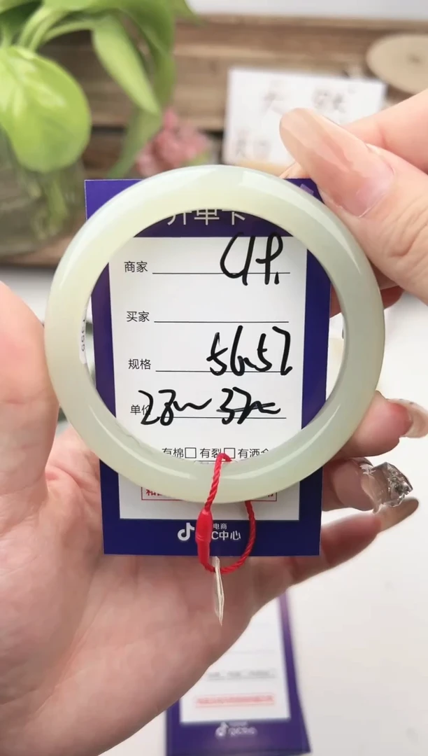 未镶嵌手镯和田玉微色差C19