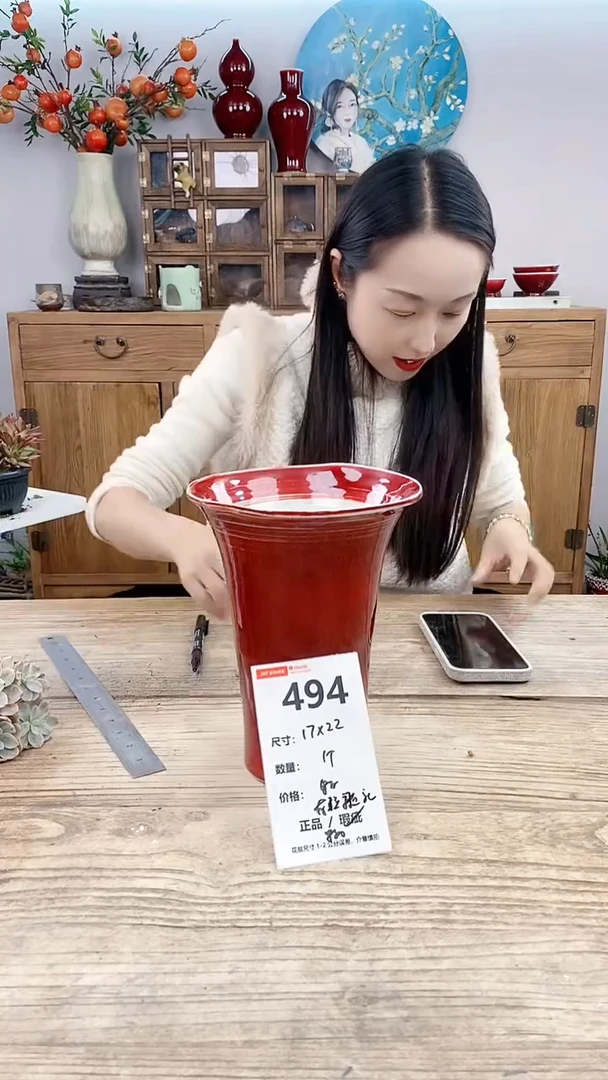 【闪购商品】红陶494