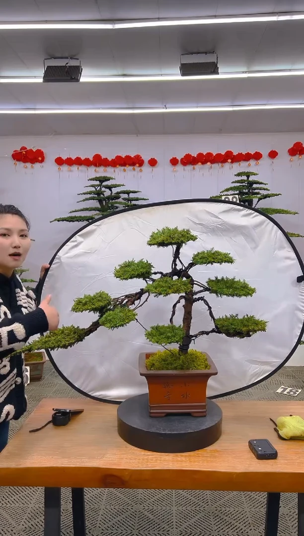 【闪购商品】盆景1