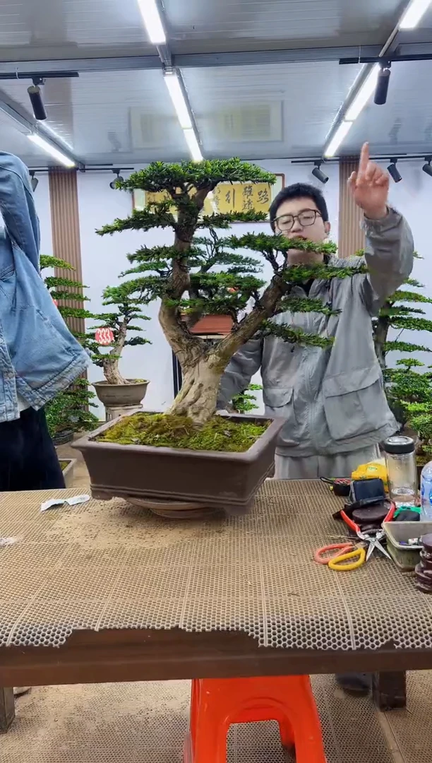 一物一拍，所见即所得