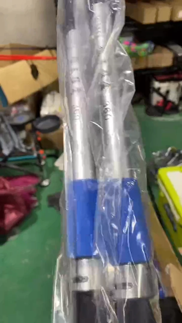 3.6米狼王猛禽海竿两根  送地插