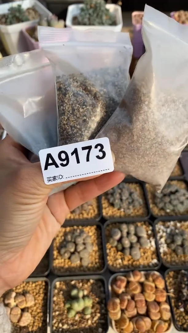 【闪购商品】9173铺面石