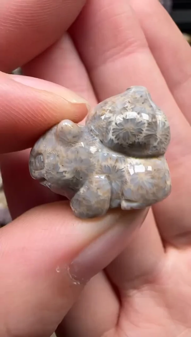 颈饰未镶嵌硅化珊瑚（珊瑚玉）533