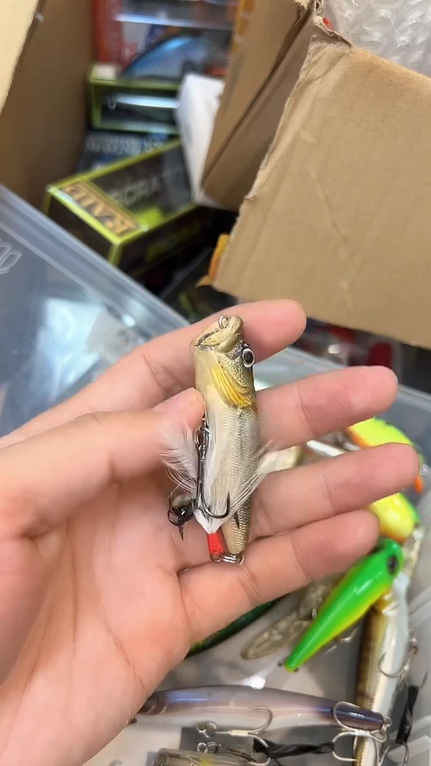 泳道路亚 闪购专拍