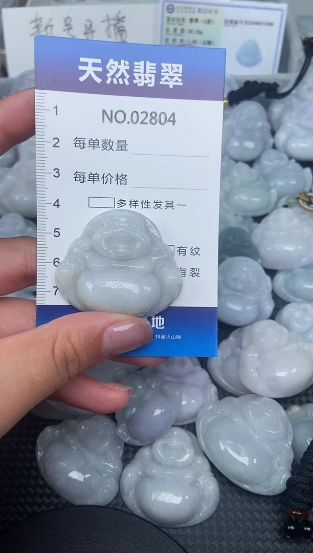 颈饰未镶嵌翡翠纯天然A货翡翠2804