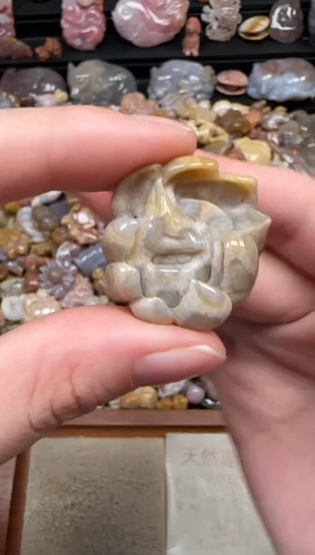 颈饰未镶嵌硅化珊瑚（珊瑚玉）550