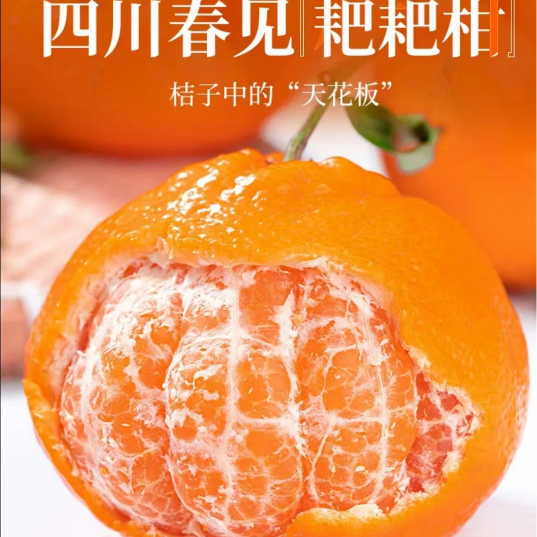 四川眉山耙耙柑果型圆润皮薄易剥纯甜晶莹剔透cz