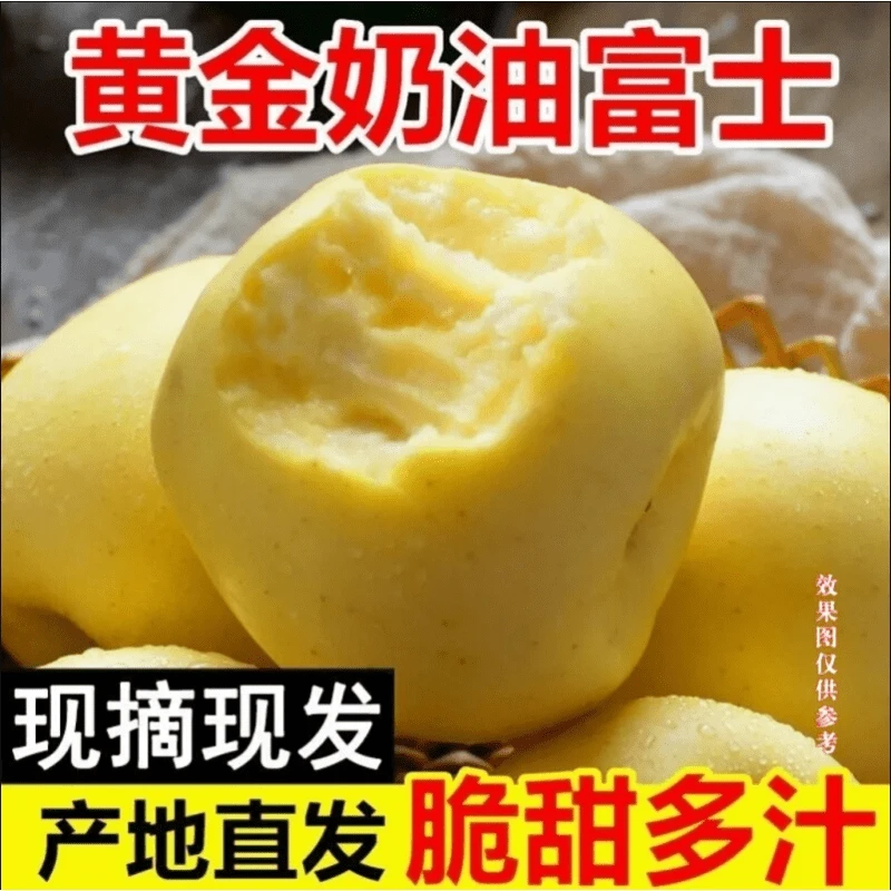 山东烟台黄金奶油富士苹果新鲜水果当季整箱包邮5正宗栖霞苹果-dd