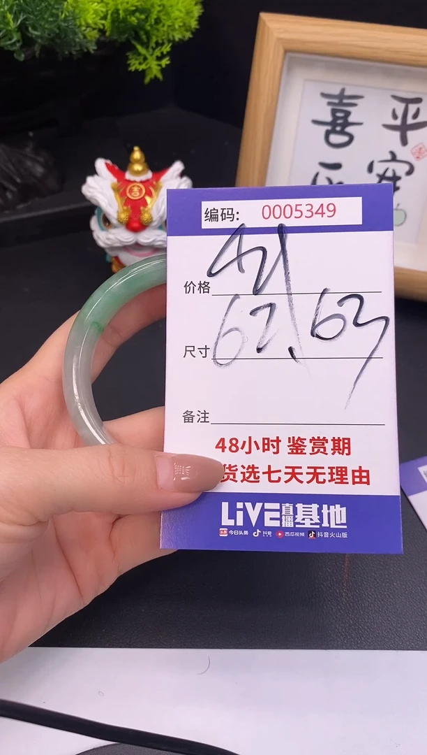 未镶嵌手镯翡翠0005349