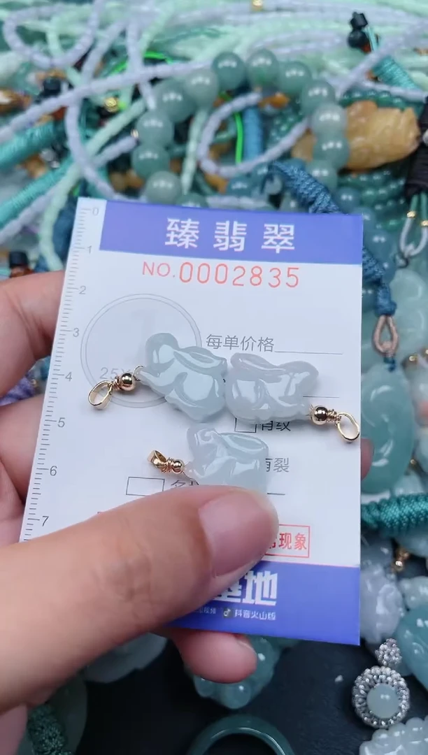 翡翠未镶嵌颈饰.0002835