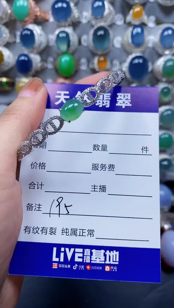 翡翠手镯银S925镶嵌0195