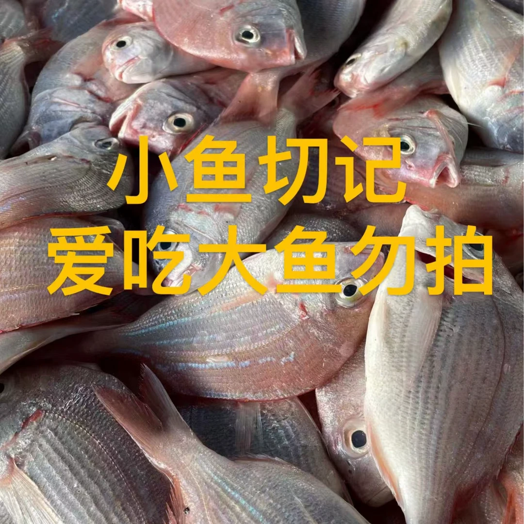 【红腊鱼5斤】现场规格为准 不支持退货