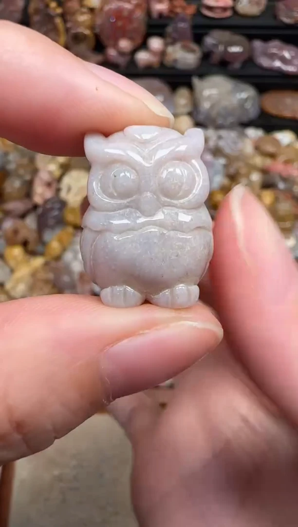 颈饰未镶嵌硅化珊瑚（珊瑚玉）304