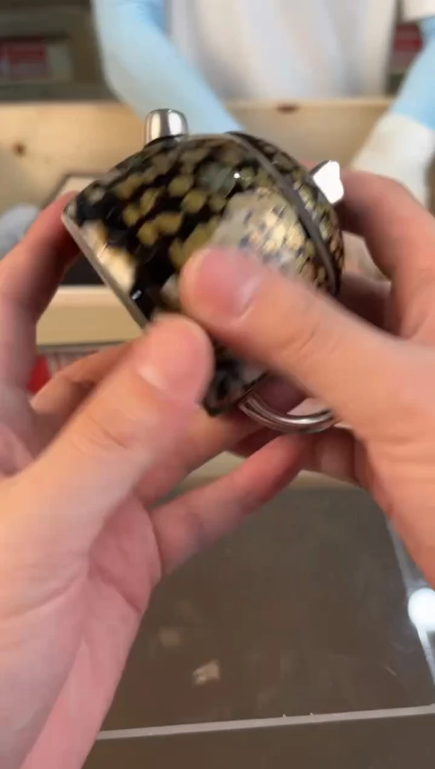 @@@@@@@@@@@@@@@@@