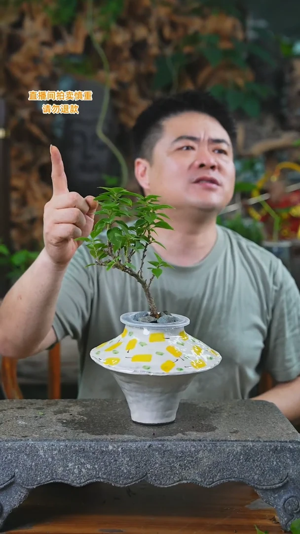 完全开放三角梅瓷器瓶