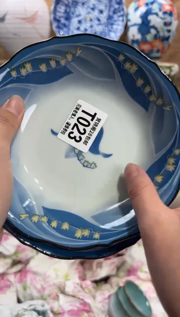 瓷片航*     T023