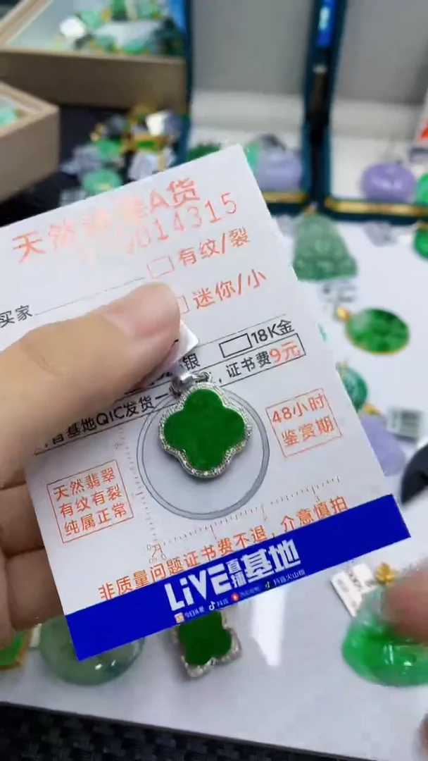 翡翠未镶嵌颈饰             1